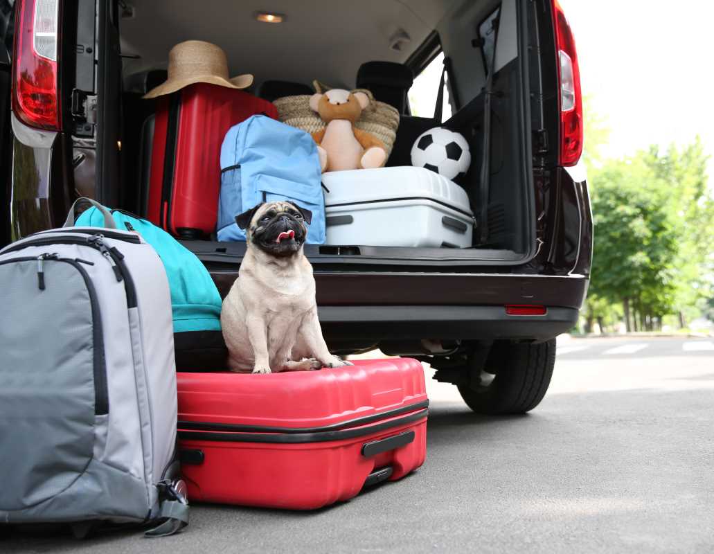 How to Organize Multi-Generational Road Trips With Minimal Stress