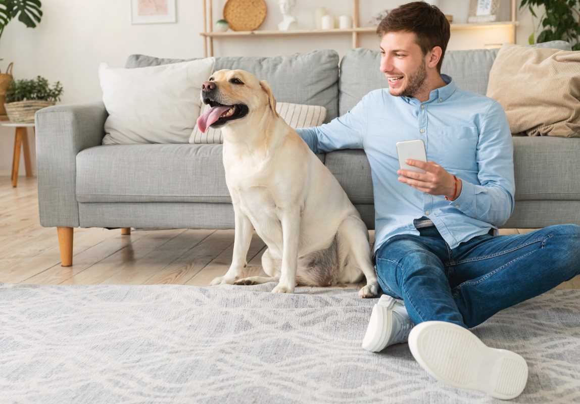 7 Easy Steps to Create a Pet-Friendly Living Space Without Sacrificing Style