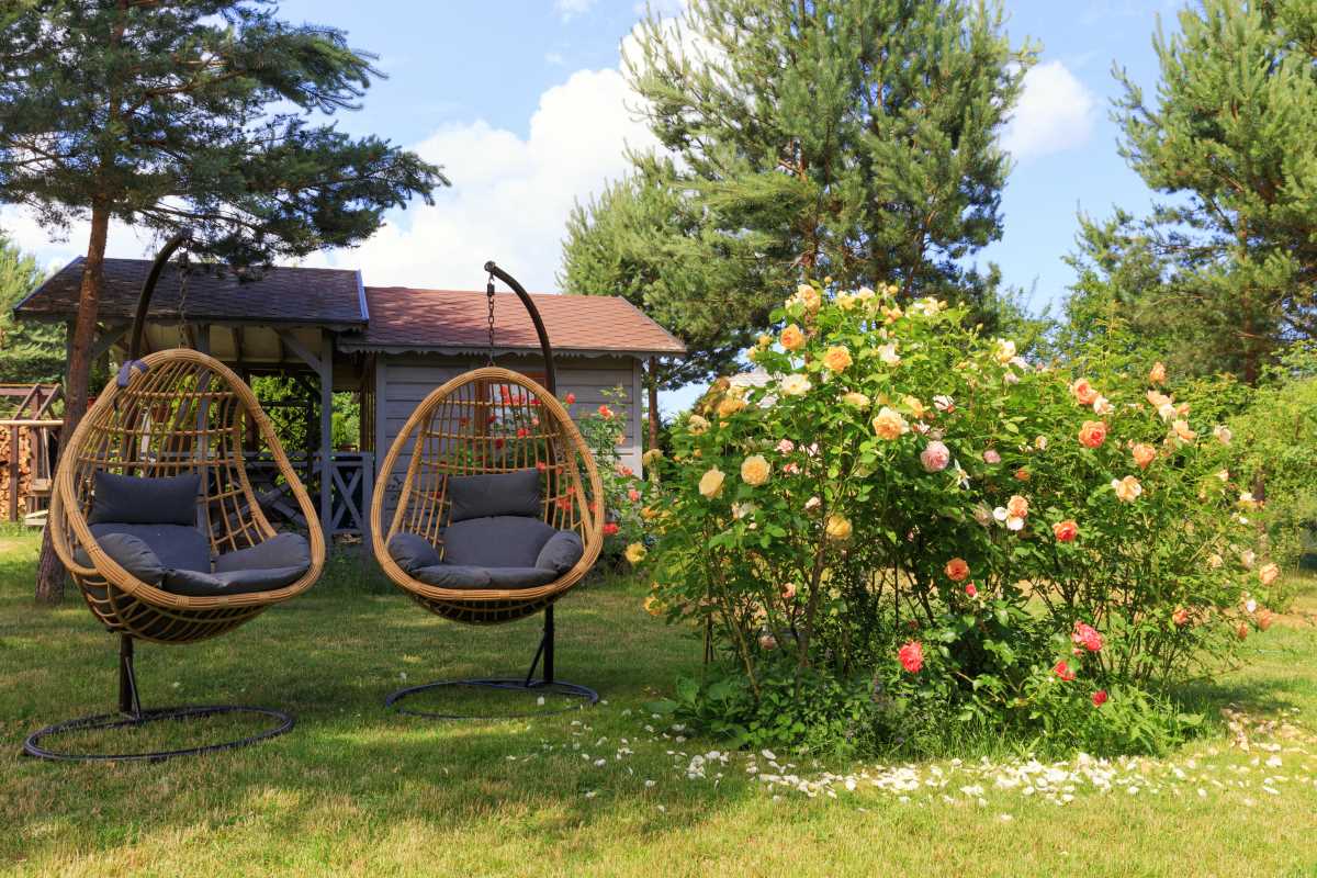 Convert Your Backyard into a Family Wellness Garden