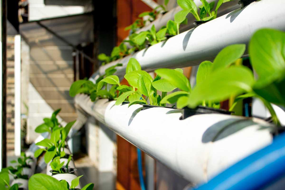 Eco-Friendly Home Improvements for a Greener Lifestyle